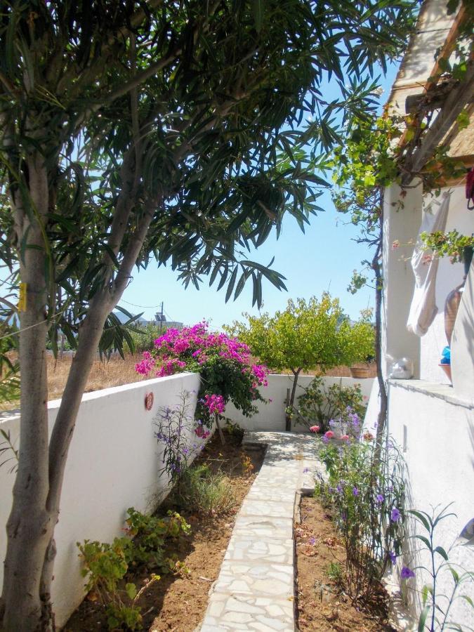 Nyfes Traditional Boutique Frosyni Skyros Luaran gambar